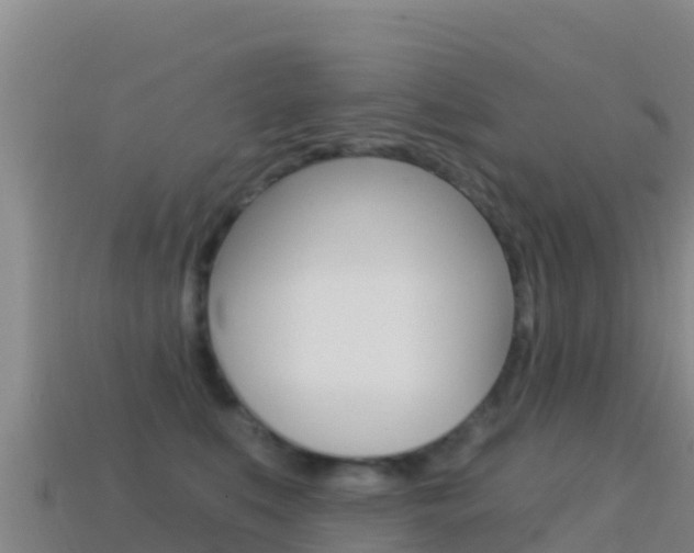 X0000114630519200910201024