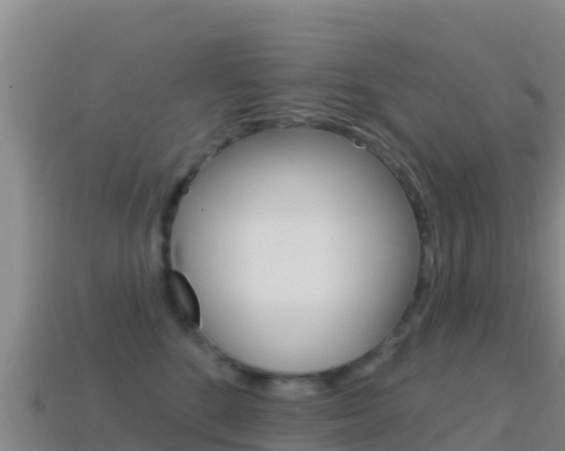 X0000114630520200910201024