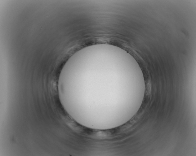X0000114630522200910201024