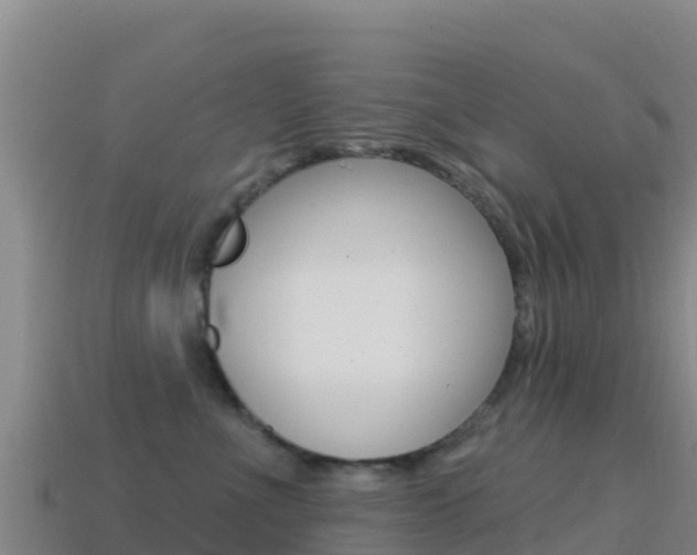 X0000114630523200910201024