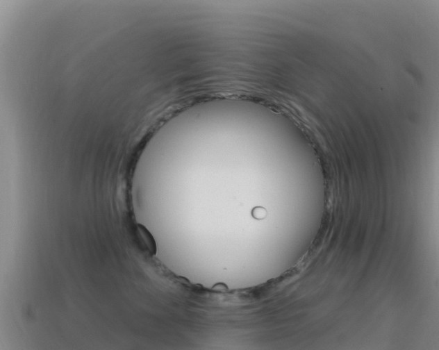 X0000114630524200910201024