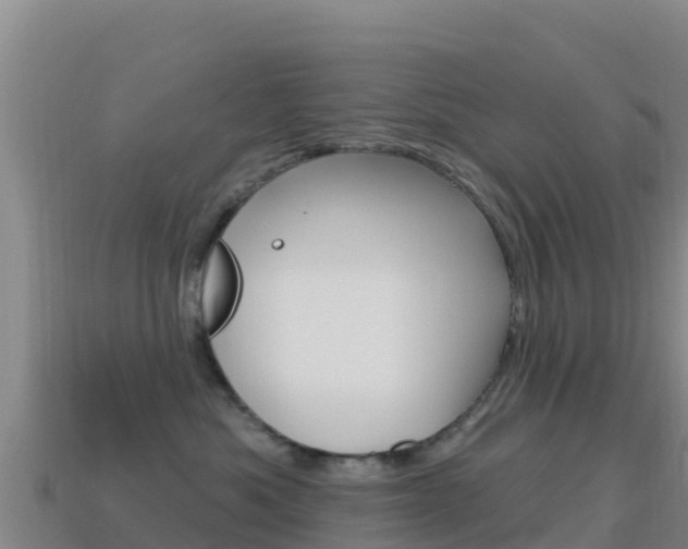 X0000114630525200910201024