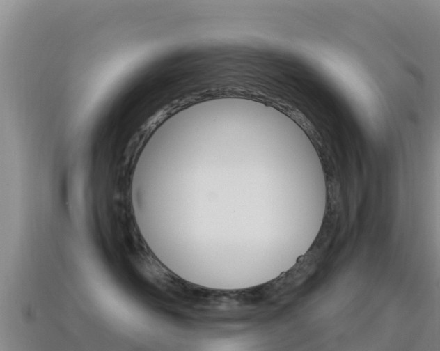 X0000114630526200910201024