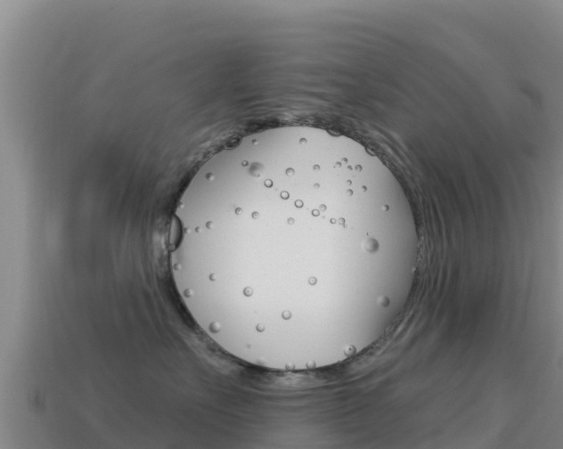 X0000114630527200910201024