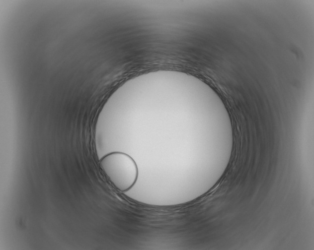 X0000114630528200910201024
