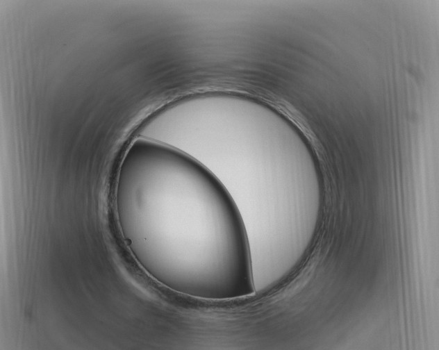 X0000114630530200910201024