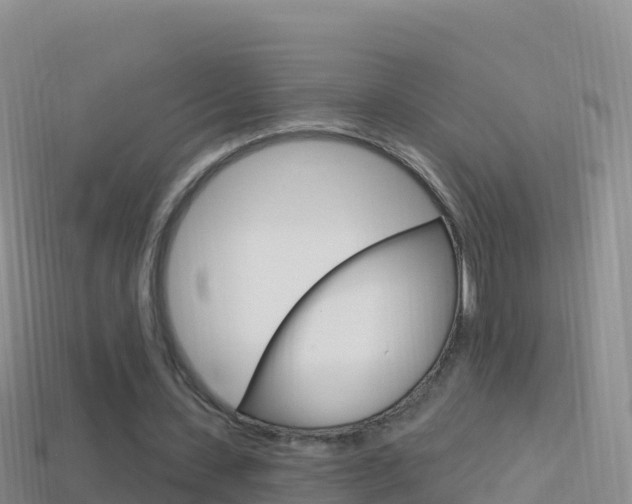 X0000114630531200910201024