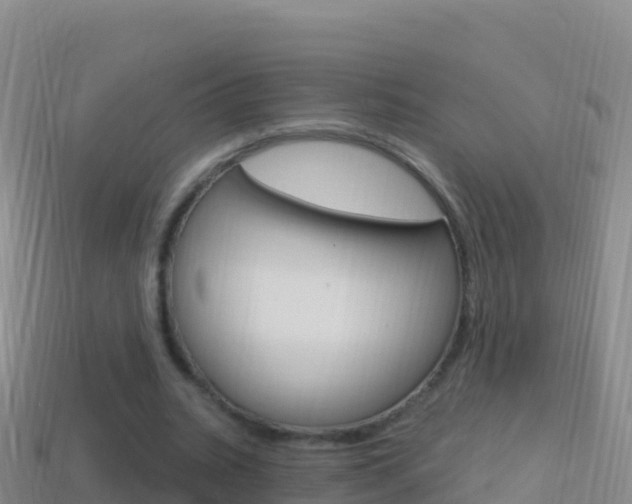 X0000114630535200910201024