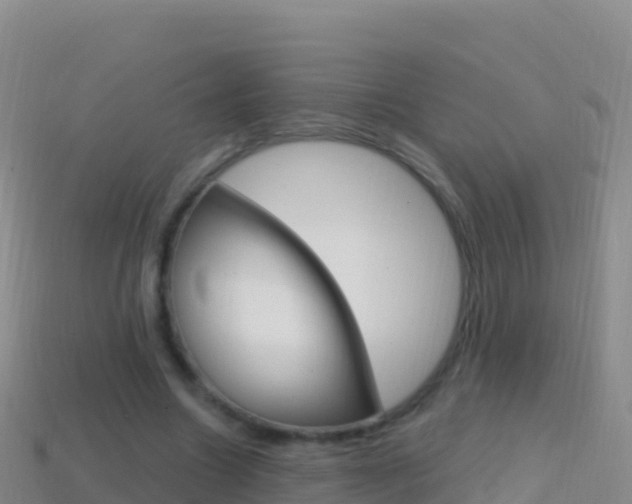 X0000114630538200910201024