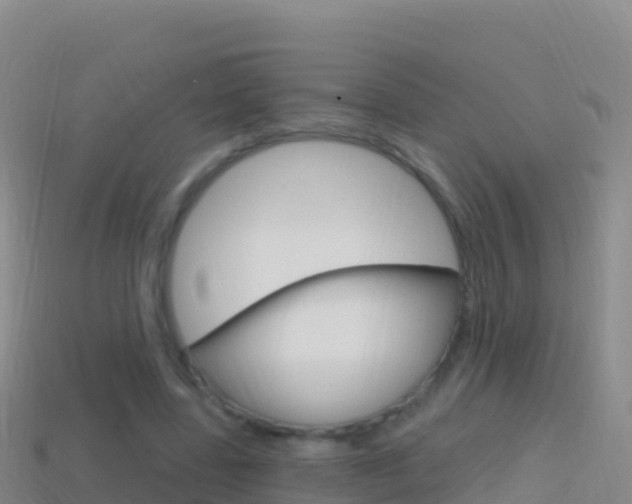 X0000114630539200910201024