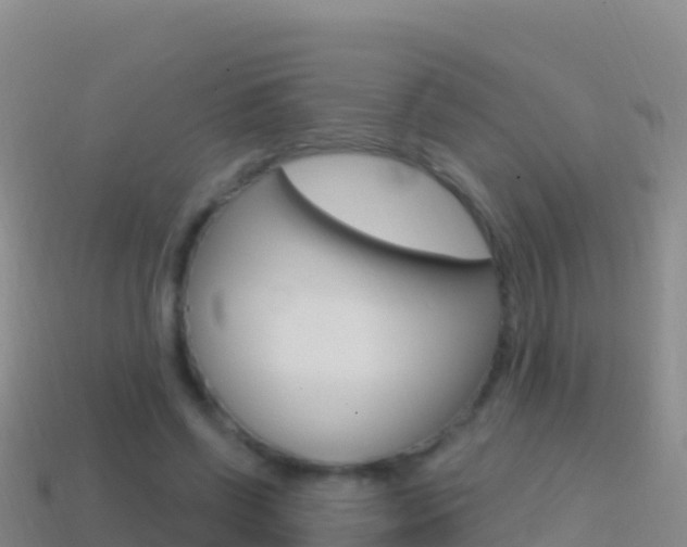 X0000114630542200910201024