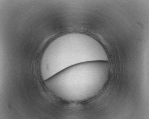 X0000114630543200910201024