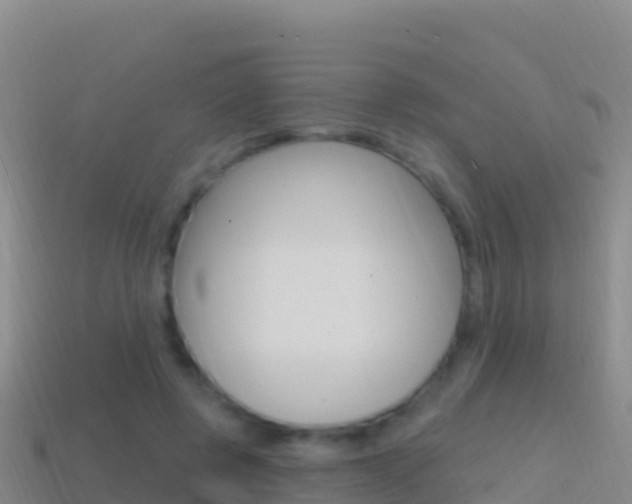 X0000114630545200910201024