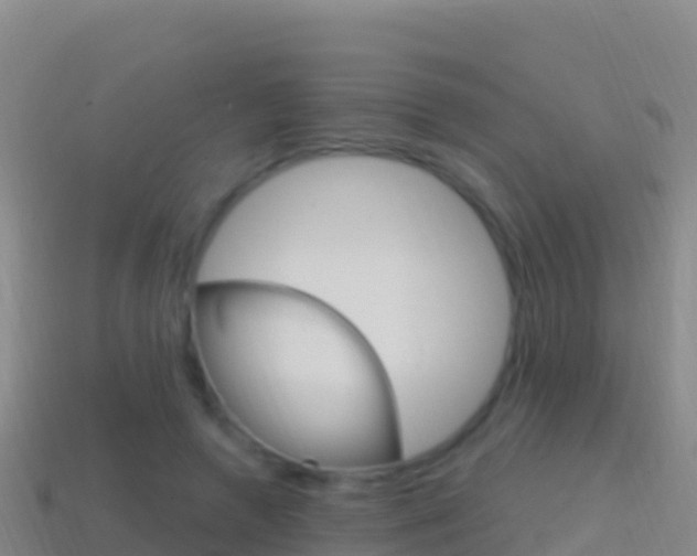 X0000114630546200910201024