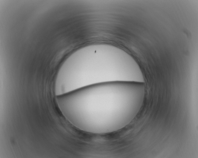X0000114630547200910201024