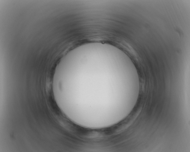 X0000114630549200910201024