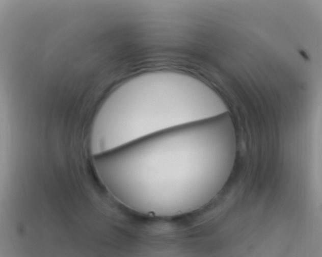 X0000114630551200910201024
