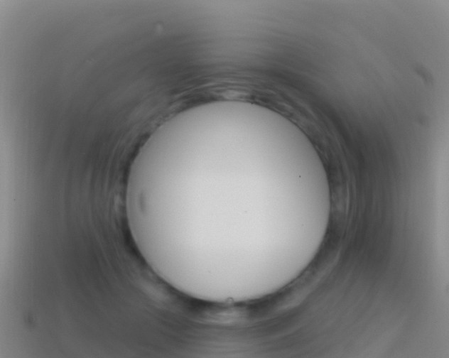 X0000114630553200910201024