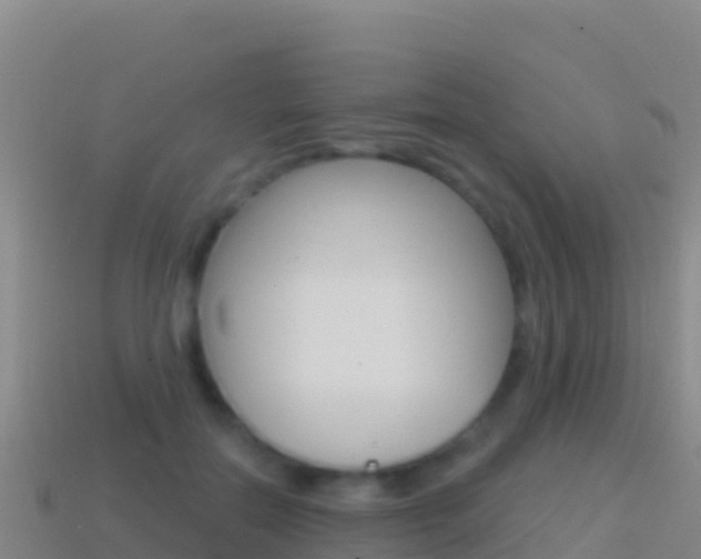 X0000114630554200910201024