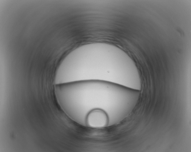 X0000114630555200910201024