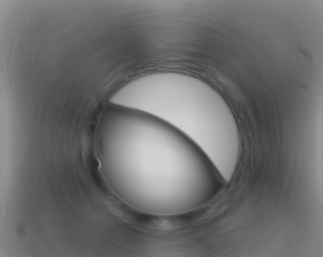 X0000114630558200910201024
