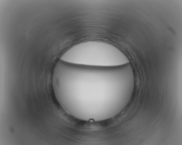X0000114630559200910201024