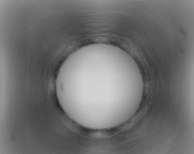 X0000114630561200910201024
