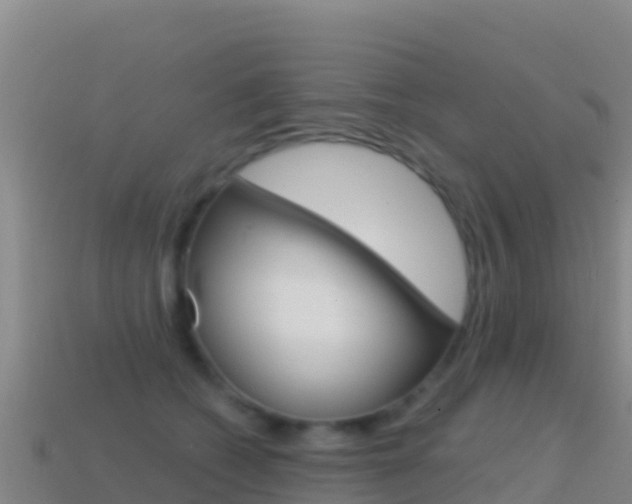 X0000114630562200910201024