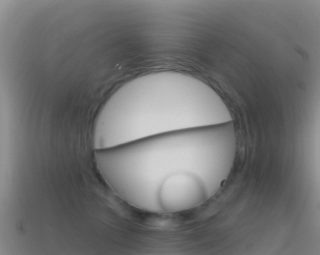 X0000114630563200910201024