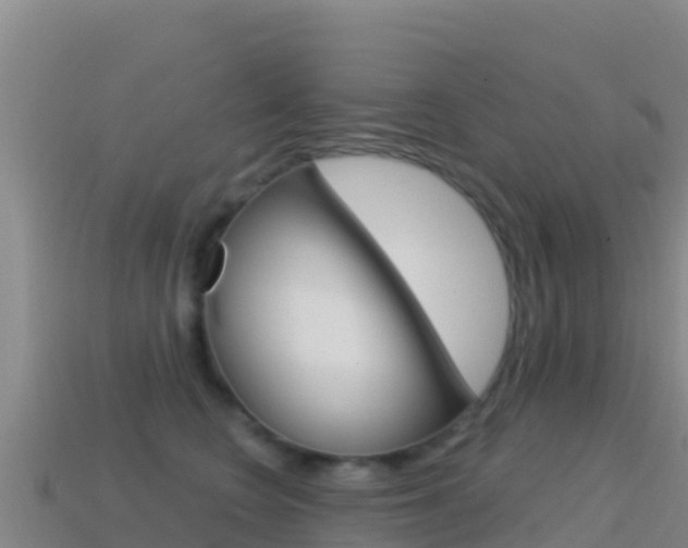 X0000114630566200910201024