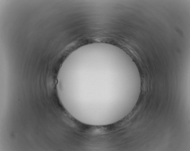 X0000114630569200910201024