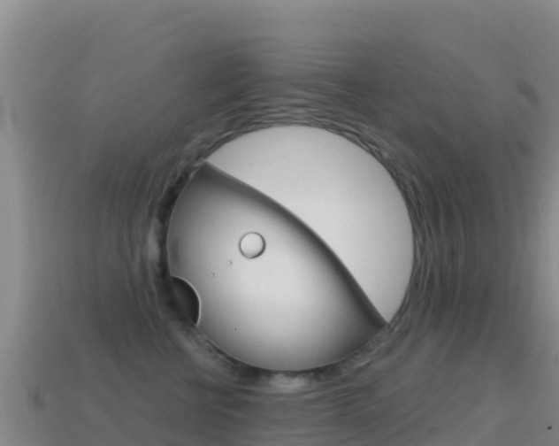 X0000114630570200910201024