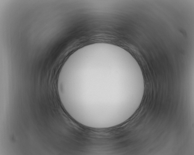 X0000114630573200910201024
