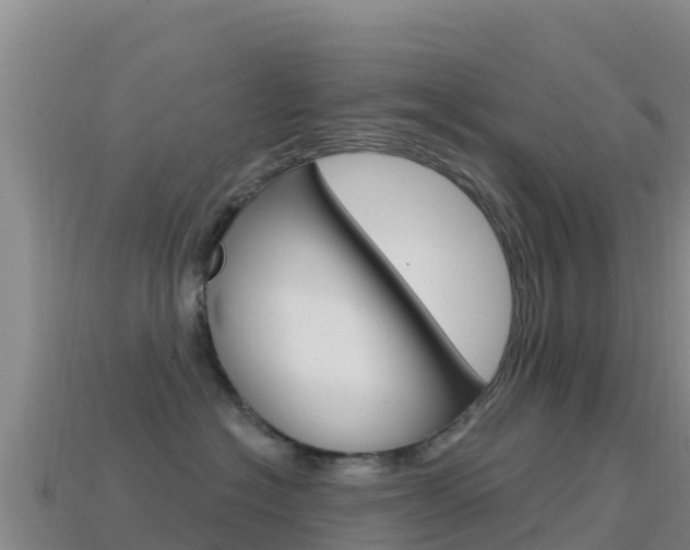 X0000114630574200910201024