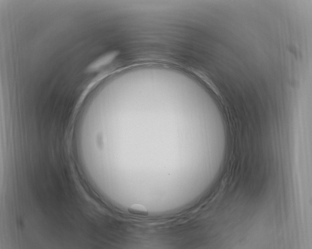 X0000114630579200910201024