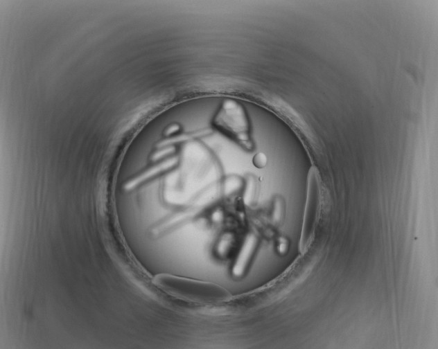 X0000114630581200910201024