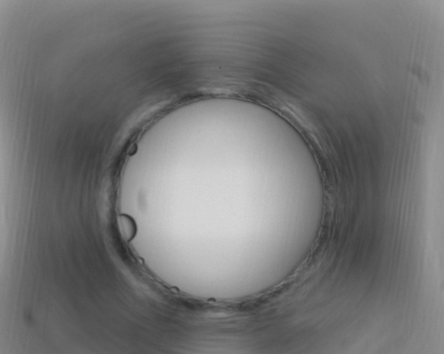 X0000114630586200910201023
