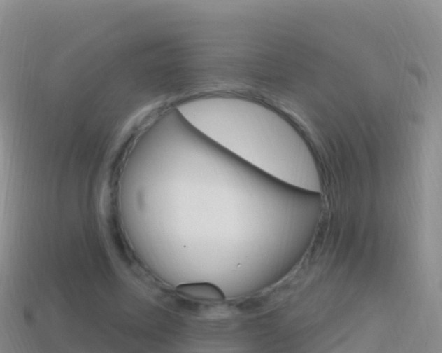X0000114630587200910201023