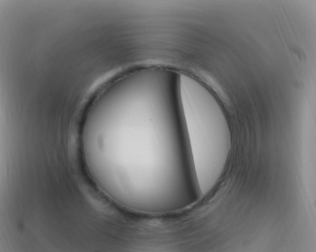 X0000114630588200910201023