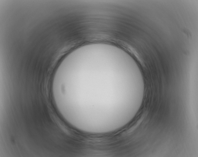 X0000114630589200910201023