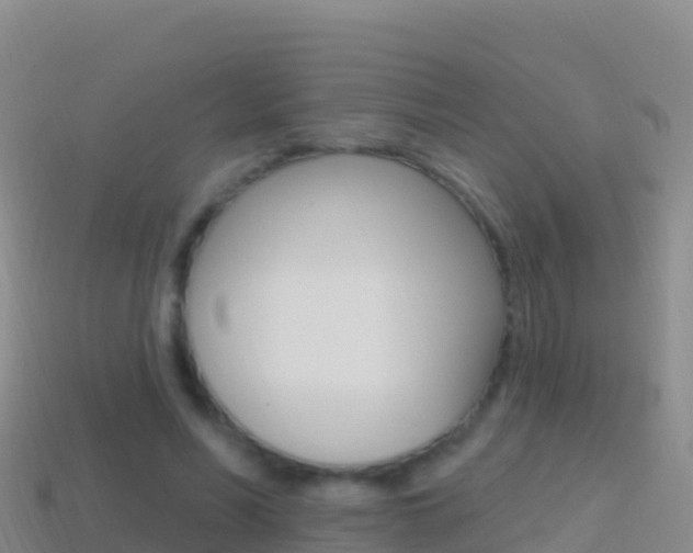 X0000114630590200910201023