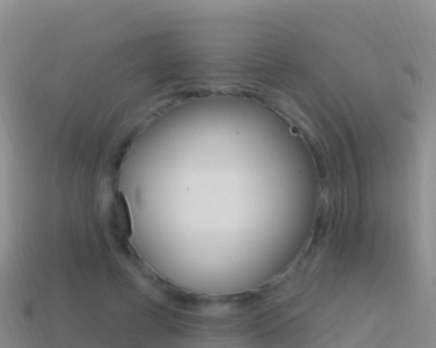 X0000114630593200910201023