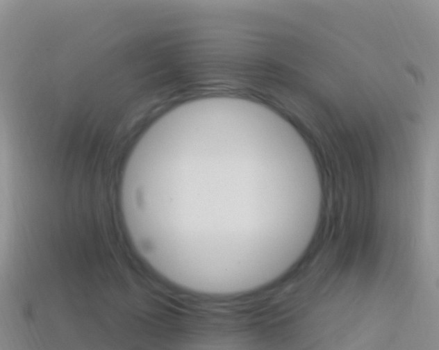 X0000114630595200910201023
