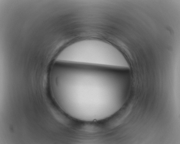 X0000114630596200910201023