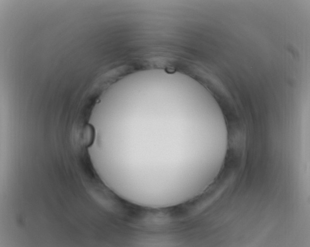 X0000114630599200910201023