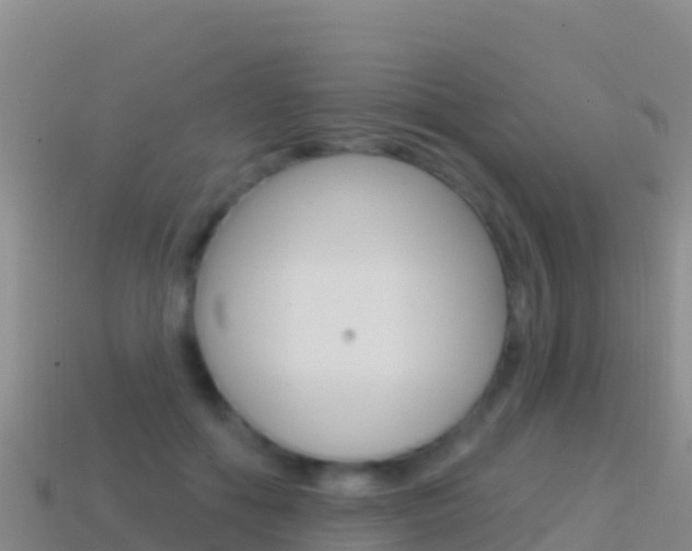 X0000114630602200910201023