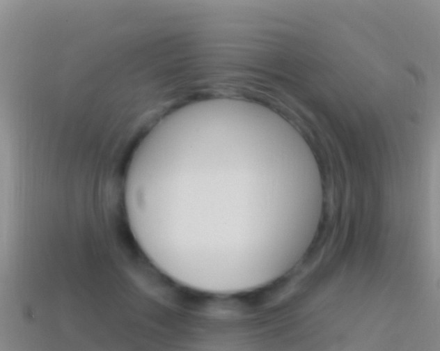 X0000114630603200910201023