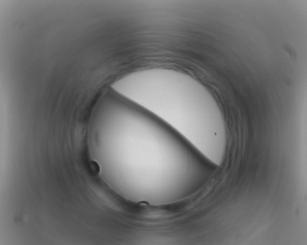 X0000114630605200910201023