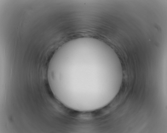 X0000114630606200910201023