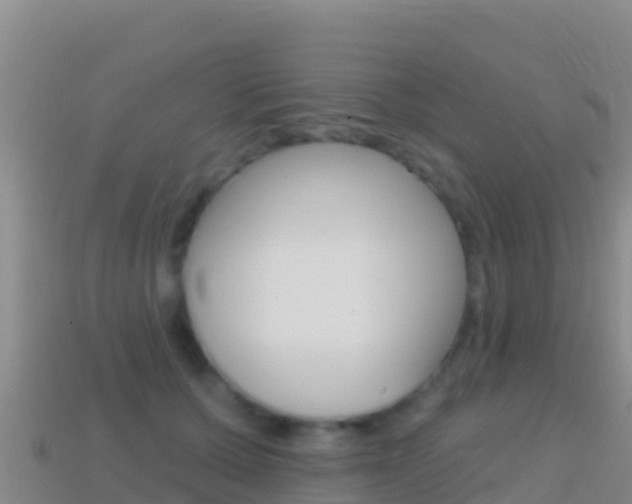 X0000114630607200910201023